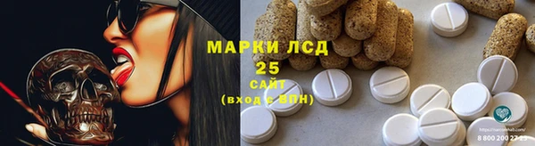 твердый Богданович