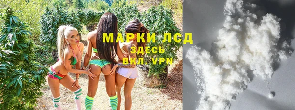 твердый Богданович