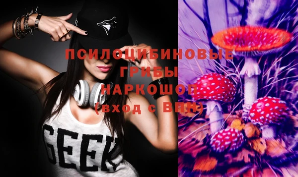 твердый Богданович