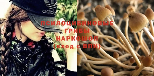 метамфетамин Богородицк