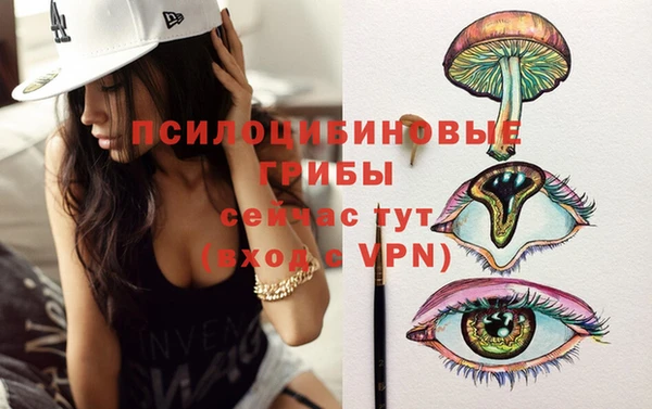 твердый Богданович