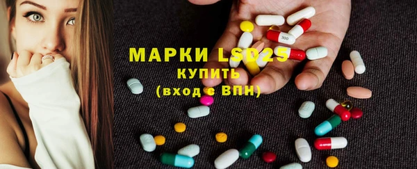 твердый Богданович