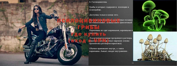 MDMA Premium VHQ Богородск