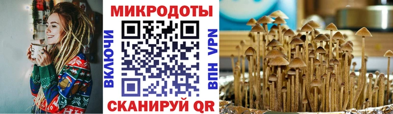 Псилоцибиновые грибы мицелий  сколько стоит  Шали 